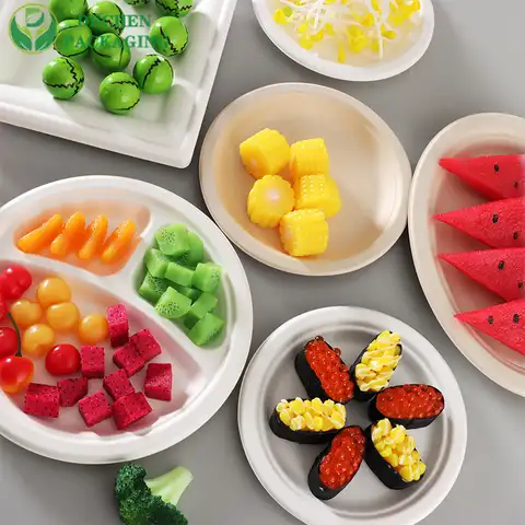 Compartment Plate Bagasse Trays