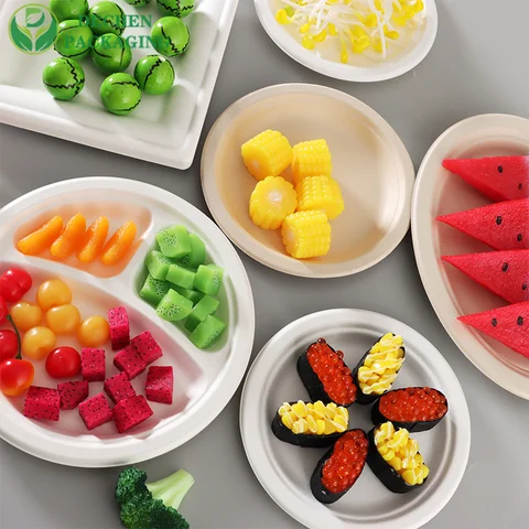 Biodegradable Disposable Food Clamshell, 3-5 Compartments Food Box/Tray