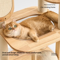 Arbre à chat et structure d'escalade en chêne massif, best-seller, avec griffoir vertical intégré, design peu encombrant pour chats