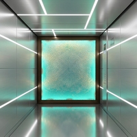 Pièces d'ascenseur modernes en métal de haute qualité, durables, pour cabine d'ascenseur de villa, hôtel, appartement, taille standard