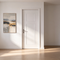 Portes de salle de bain en bois massif, finies, insonorisées, portes extérieures pour hôtel, appartement, usage rural