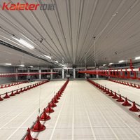 10000 maisons de poulet de volaille système de ligne d'alimentation automatique pour poulets de chair 5000 poulets équipement d'élevage de ferme Machine d'alimentation pour
