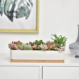 Pot à fleurs en céramique Napin pour l'exportation, pot long en porcelaine blanche exclusif pour plantes succulentes, idéal pour le commerce électronique transfrontalier - Product Image 3