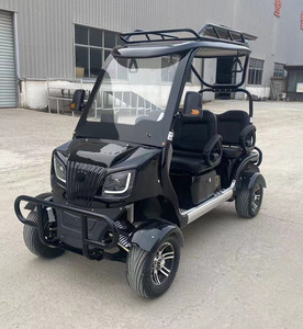 Carrito de Golf con Batería de Litio a Precio Económico, Scooter Urbano - Product Image 4