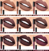 Rouges à lèvres liquides vegan à fini mat, imperméables, longue tenue, non-transférables, couleurs personnalisées, marque privée
