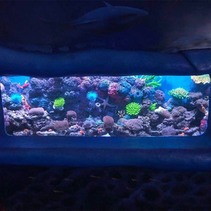 Fabrieksdirecte levering Oceanarium-scène, extra stevig, hoge transparantie, grote acrylvisbak, op maat gemaakte aquariumlandschapsarchitectuur - Product Image 1