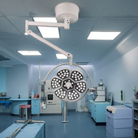 Lampe chirurgicale sans ombre à double tête, équipement d'éclairage chirurgical pour examens cliniques et vétérinaires