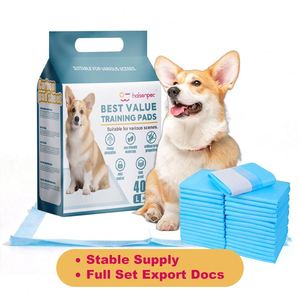 Venta Directa de Fábrica: Almohadillas Absorbentes para Cachorros de Secado Rápido y Control de Olores, 45x60cm, Desechables, Suministro a Granel, Servicio de MOQ Flexible - Product Image 1