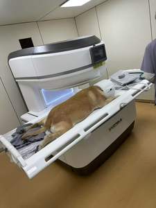 Système de résonance magnétique vétérinaire EUR VET à bon prix pour animaux, <span class=keywords><strong>appareil</strong></span> d'<span class=keywords><strong>IRM</strong></span> avancé, <span class=keywords><strong>appareil</strong></span> d'<span class=keywords><strong>IRM</strong></span> - Product Image 5