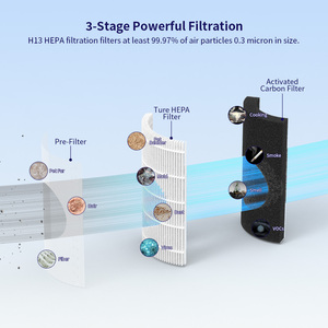 <span class=keywords><strong>Purificador</strong></span> de <span class=keywords><strong>Aire</strong></span> Eléctrico de Escritorio CADR60F-C para Uso Doméstico, Fabricado con Material Plástico HEPA Focus con 25 Años de Experiencia - Product Image 6