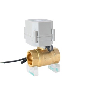 วาล์วควบคุมแบบสัดส่วนไฟฟ้า Tonhe Dn25 ทองเหลือง 24V DC สำหรับปั๊มน้ำ หม้อต้มน้ำ เครื่องกรองน้ำ เครื่องอัดอากาศ - Product Image 5