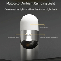 Lampe de camping LED portable, lumière d'ambiance étanche pour la randonnée et le camping