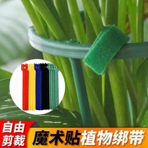 Ruban adhésif auto-adhésif pour plantes vertes, attaches Velcro pour plantes, corde de liaison multifonctionnelle de 10M pour usage intérieur et extérieur - Product Image 5