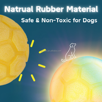 Balles rebondissantes pour chien avec éclairage LED interactif, rechargeables par USB, en caoutchouc naturel, jouet lumineux pour chien