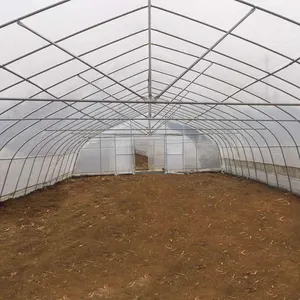 Strawberry Greenhouse Turnkey Project Poly Film Arch Tunnel Arch Green House