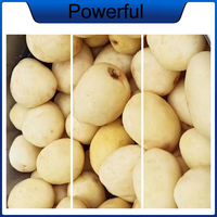 Machine commerciale verticale à éplucher et laver les pommes de terre, le manioc, le gingembre et les carottes, capacité 70-360 kg/h