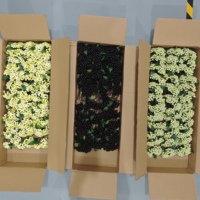 Kunstmatige bessen bruiloftdecoratie & -benodigdheden bloemen bruiloftfavoren cadeaus bloemenwand kunstplant
