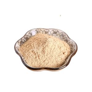 Toptan yüksek kaliteli mantar Hericium Erinaceus tozu aslan Mane mantar tozu - Product Image 1