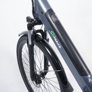 <span class=keywords><strong>Vélo</strong></span> <span class=keywords><strong>électrique</strong></span> hybride urbain avec <span class=keywords><strong>batterie</strong></span> au lithium 36V 250W, cadre en aluminium, 7 vitesses, assistance au pédalage, livraison en 5 jours - Product Image 3