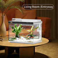 Aquarium de bureau rectangulaire moderne en verre LEA pour poissons ornementaux