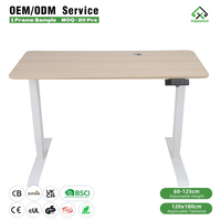 Bureaux debout réglables à double moteur pour cadres, 3 niveaux, capacité de charge de 120 kg, table réglable pour bureau à domicile