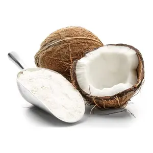 골드 공급업체 천연 스프레이 건조 수용성 과일 분말 코코넛 추출물 분말