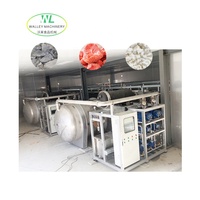 Oferta Especial: Liofilizador Industrial Walley (FD) para Procesamiento de Frutas y Vegetales, Material SUS304, Calentamiento Eléctrico/a Vapor, Alta Eficiencia Energética
