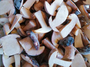 IQF Frozen <span class=keywords><strong>Boletus</strong></span> <span class=keywords><strong>Edulis</strong></span> - <span class=keywords><strong>Boletus</strong></span> entero corte <span class=keywords><strong>Boletus</strong></span> - Product Image 6