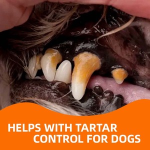 Aditivo Dental para Perros OEM, Enjuague <span class=keywords><strong>sin</strong></span> Cepillado con Bicarbonato de Sodio y Calcio, Reduce la Placa y el Sarro, Refresca el Aliento, Protege el Esmalte - Product Image 2
