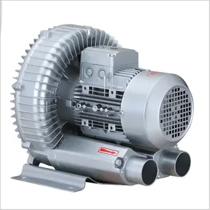 Bomba de aireación de vórtice Industrial de alta presión personalizada, sopladores de aire, máquina de ventiladores