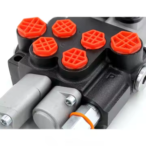 คู่มือ P40-AQF-G38-G12การแก้ปัญหาสำหรับระบบอัตโนมัติในอุตสาหกรรม: วาล์วควบคุมทิศทาง P40-AQF-G38-G12 - Product Image 5