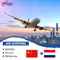 Agent d'expédition aérienne professionnel Chine-Néerlandes FCL/LCL Air+Camionnage DDP Service logistique porte-à-porte Transitaire