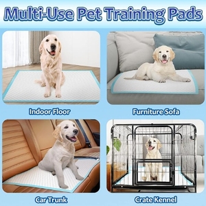 Высококачественные одноразовые подушечки для домашних животных, услуги OEM, Лидер продаж, подушечки для пеленок - Product Image 5