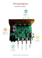 OK100W çift 100W DIY ses mikrofon ile elektrik panosu yeni 2.0 kanal ev amplifikatör elektronik bileşen