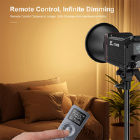 L'approvisionnement d'usine 300w Cob a mené les lumières professionnelles de caméra d'éclairage audio-vidéo pour la vidéo
