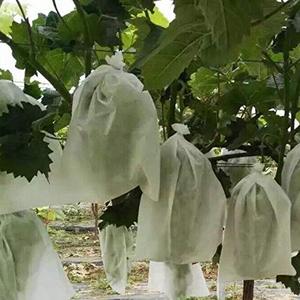Bolsa de tela no tejida para prevención de insectos y frutas, protector agrícola para cultivo de uvas - Product Image 1