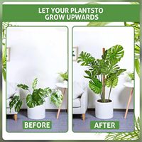 Usine directe Coco Coir Pole Plant Support Plante grimpante Pole Moss Pole pour plantes