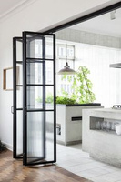 Design graphique Quincaillerie en laiton Acier Appartement Porte pliante coulissante en acier Décoration en verre Pliable pour porte de maison