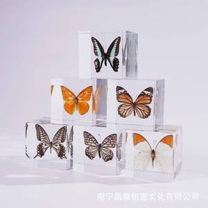 Cubo de Acrílico Transparente con Especímenes de Insectos, Decoración de Cristal con Estampado Animal, Regalo de San Valentín, Colección de Adornos - Product Image 4