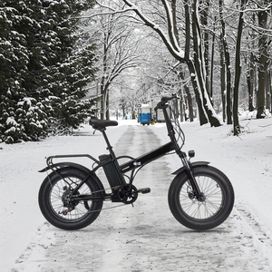 Sonderangebot 20-Zoll Elektro-Mountainbike, faltbar, Fat-Reifen, Offroad-Schnee-Fahrt, Lithium-Unterstützt, Stahlrahmen, 48V 7-Gang 1000W - Product Image 5