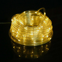 Guirlande lumineuse LED colorée en forme de tube, décoration intérieure de Noël, lumière arc-en-ciel, alimentation CA, commande par bouton, étanche IP33, 2700K chaud