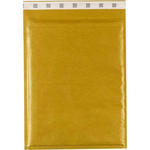 MAIL LITE - Busta Imbottita Dorata 18X26CM - Product Image 1