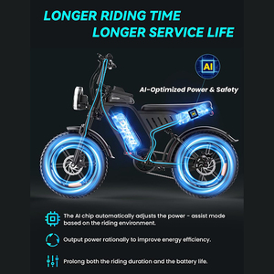 Vélo électrique tout-terrain F6 DTTZH US Warehouse avec pneus larges, moteur 48V 15Ah, autonomie de 60 miles, pneus larges de 20 pouces, vitesses parfaites - Product Image 5