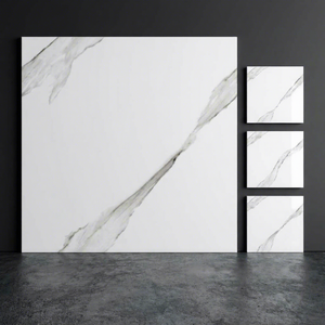 Aramani Seal Marble Look Glazed Porcelain Floor Tiles 60x60cm Glossy Ceramic Anti-Acid Finish 4-Year Warranty 10mm Thick - Product Image 5