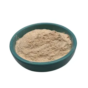 Diosgenin Powder Wild Yam Extract