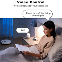 Interrupteur intelligent Wifi EWeLink 4 canaux avec module de fonction RF 7-32V 10A Relais 4 canaux Fonctionne avec Alexa Google Home