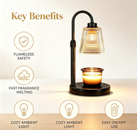 Lampe chauffe-bougie avec minuterie, chauffe-cire en verre floral à intensité variable, décoration d'intérieur, cadeaux d'anniversaire pour femmes
