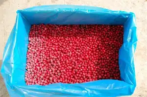 IQF Lingonberry Fruit Berries