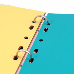 Foska văn phòng Cung Cấp Các Nhà cung cấp đầy màu sắc hàng tháng tập tin phân loại 2/3/4 Vòng chất kết dính 11-Lỗ PP nhựa A4 chỉ số Tab - Product Image 5