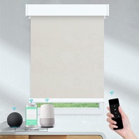 Accionamiento eléctrico recargable de alta calidad, compatibilidad con Alexa, persianas enrollables motorizadas de poliéster impermeables para ventanas